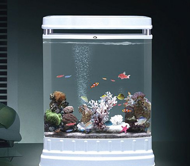 居风水  鱼缸巧放置 风水旺家运鱼缸巧放置 风水旺家运